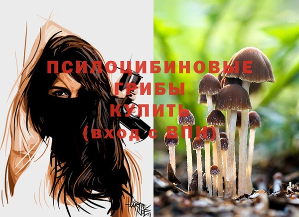 метамфетамин Инсар