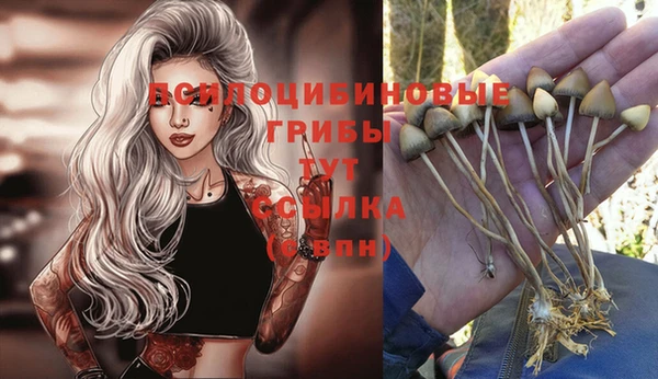 гашишное масло Иннополис