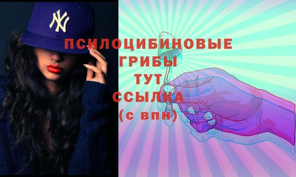 гидропоника Инта