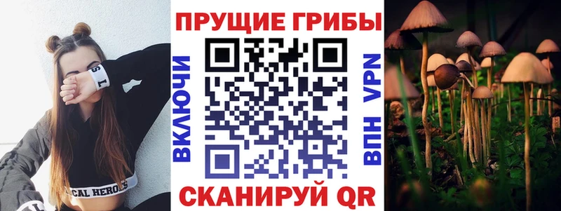 купить наркотики сайты Касли Псилоцибиновые грибы ЛСД